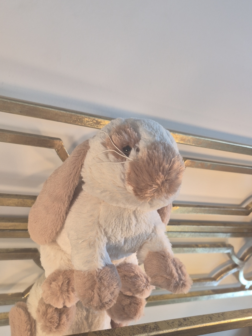Ganz Webkinz Holland Lop Bunny Rabbit Plush-High Quality, 6"× 9", White & Tan.